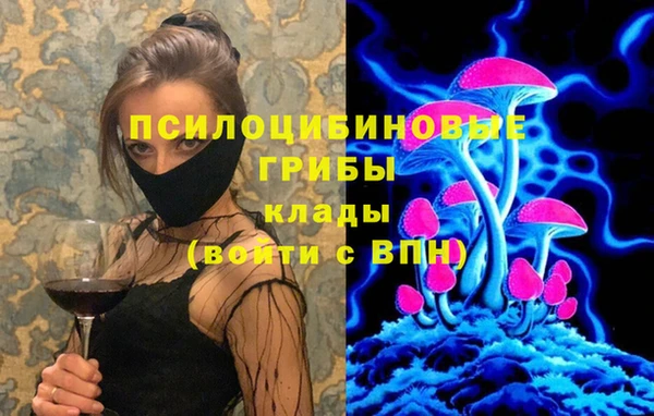 ПСИЛОЦИБИНОВЫЕ ГРИБЫ Невьянск