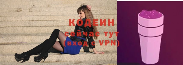 крисы Коряжма
