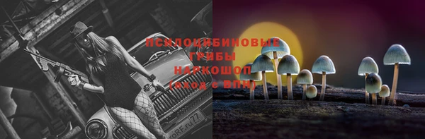 прущие грибы Куйбышев