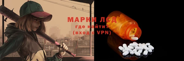 крисы Коряжма