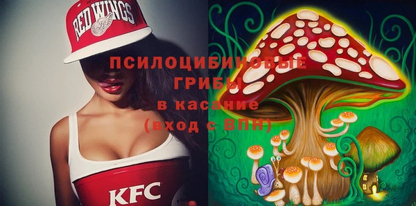 крисы Коряжма