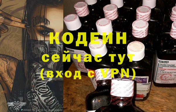 прущие грибы Куйбышев