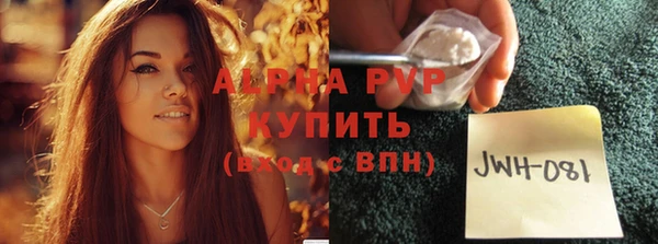 крисы Коряжма