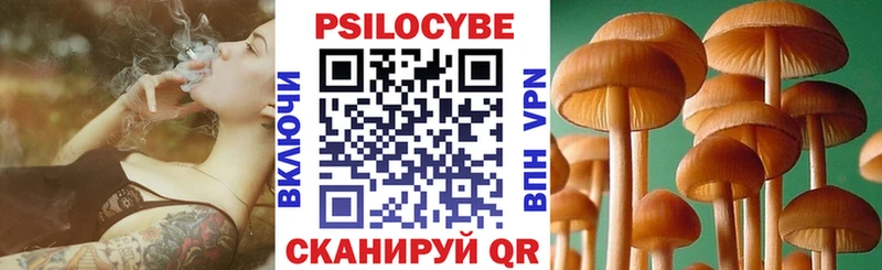 где купить   Среднеколымск  Галлюциногенные грибы Magic Shrooms 
